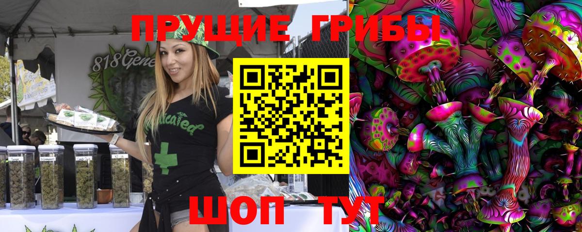 Гагарин  Галлюциногенные грибы Psilocybe  Вход с VPN 